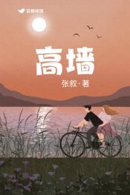 高墙故事全集完整版