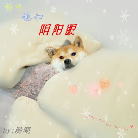 我的阴阳眼老婆