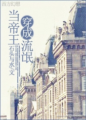 当帝王穿成流氓 石头与水